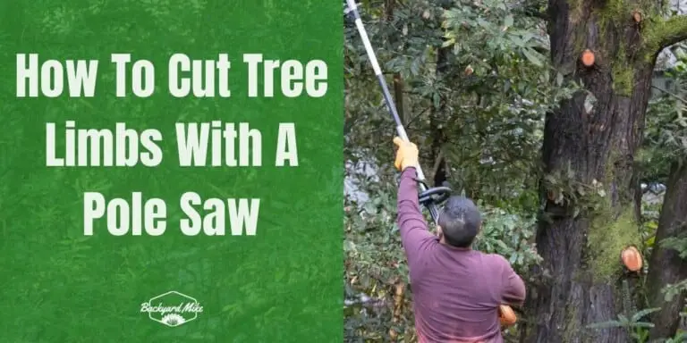 How To Cut Tree Limbs With A Pole Saw: A Step-By-Step Guide To Assist ...