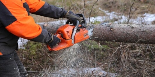 The 7 Best Cheap Chainsaws For Every Budget In 2022