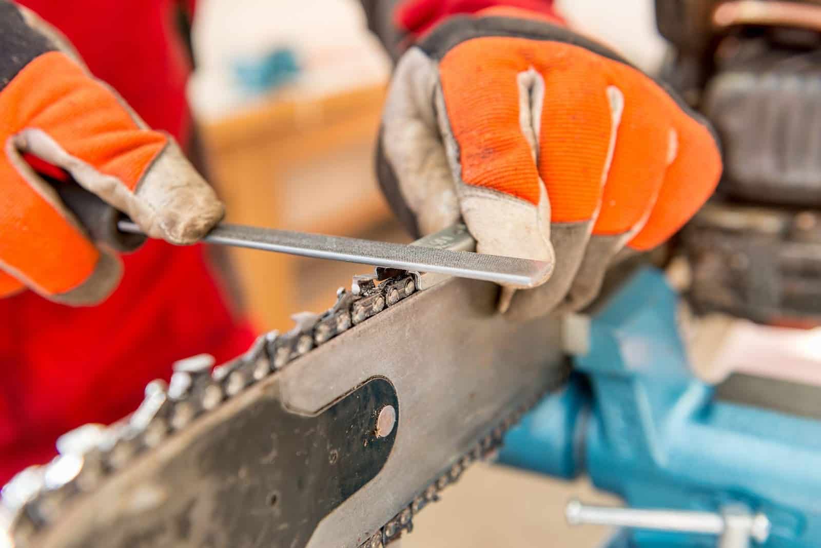 How To Sharpen A Chainsaw Chain | Backyard Mike