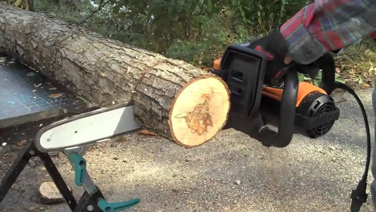 Electric vs. Gas Chainsaw: Which Is The Better Chainsaw Option For You?