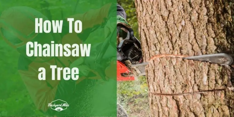 How To Chainsaw a Tree | Backyard Mike