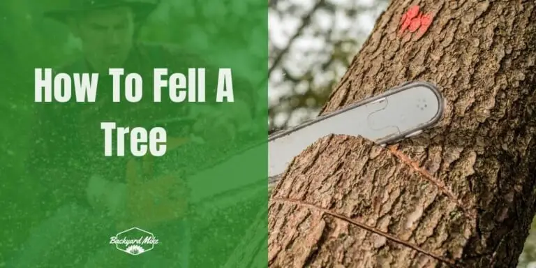 How To Fell A Tree | Backyard Mike