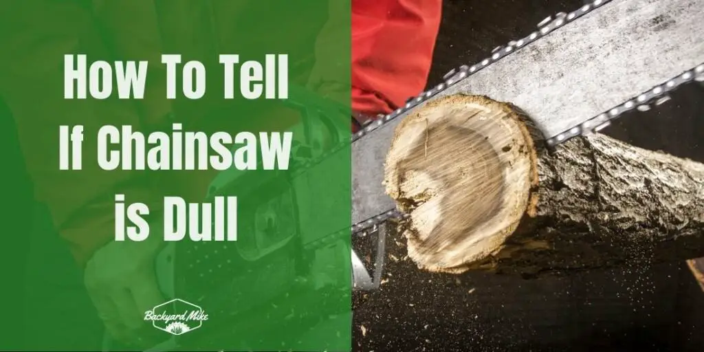 How To Tell If Chainsaw Is Dull Backyard Mike